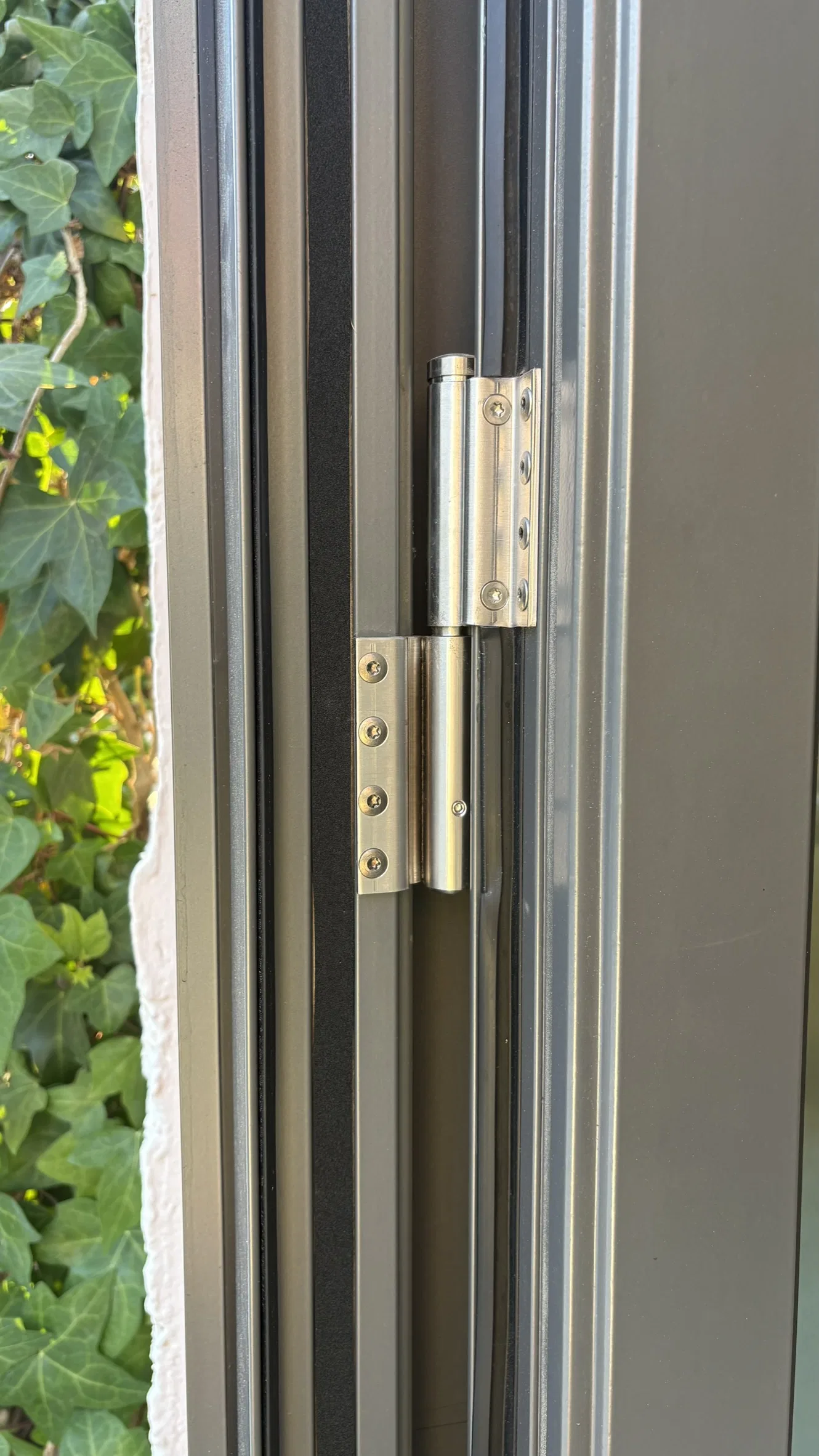 Janisol Puerta Practicable